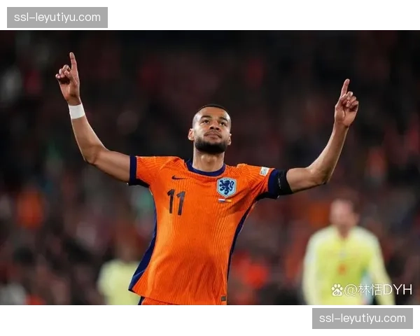 西班牙队中场充盈 佩德里保持健康让斗牛士军团心定